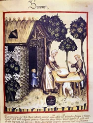 Butterherstellung. Illumination aus der Milch der Medizin und Diätetik „Tacuinum sanitatis“