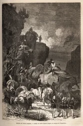 Marsch der englischen Armee zum Dalanta-Plateau, den Truppen von Kaiser Theodoros (ca. 1818-1868) folgend, mit Elefanten für den Transport von Artilleriestücken. Gravur zur Illustration der Geschichte "Les captifs de Theodoros", von Doktor Henry Blanc