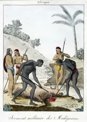 Militärischer Eid der Einwohner von Madagaskar (schlachteten einen Ochsen), Gravur 1811