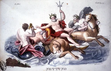Neptun