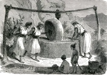 Olivenmühle in Algerien 1885