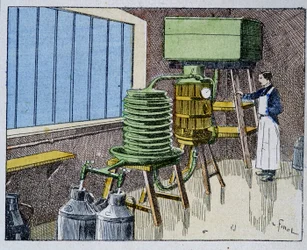 Pasteurisierung von Milch - Gravur, Ende 19. Jahrhundert
