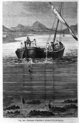 Perlentaucher in Ceylon (heutiges Sri Lanka)