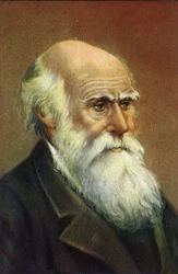 Fotografisches Porträt von Charles Darwin (1809 - 1882), englischer Naturforscher