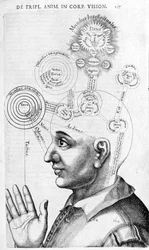 Physiognomie-Bild (Phrenologie) aus Collectio Operum von Robert Fludd (Robertus de Fluctibus). London 1617