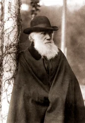 Porträt von Charles Darwin (1809-1882)