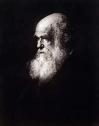 Porträt von Charles Robert Darwin (1809 - 1882)