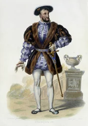 Porträt von François I. (1494-1547) - in „Le Plutarque français“, Ed. Mennechet