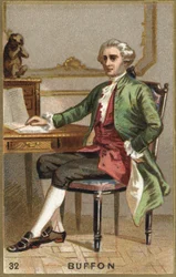 Porträt von Georges Louis Leclerc, Graf von Buffon (1707 - 1788), französischer Naturforscher und Schriftsteller. Chromolithographie 19. Jahrhundert.