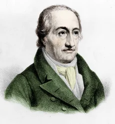 Porträt von Johann Wolfgang von Goethe (1749-1832)
