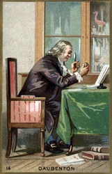 Porträt von Louis Jean Marie Daubenton