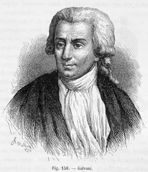 Porträt von Luigi Galvani, italienischer Arzt und Physiker (1737 - 1798) - in „Magnetismus und Elektrizität“ von Amédée Guillemin