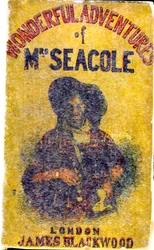 Porträt von Mary Jane Seacole (1805 - 14. Mai 1881), geborene Grant. Eine in Jamaika geborene Frau schottischer und kreolischer Abstammung, die während des Krimkriegs hinter den Linien ein 