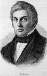 Porträt von Michel Goudchaux