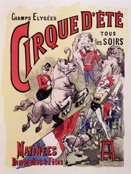 Plakat für Cirque d