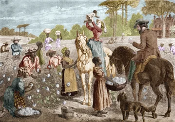 Recycelte Baumwolle aus einem Haus im Süden der Vereinigten Staaten im Jahr 1864.