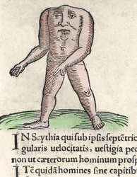 Darstellung eines Mitglieds des Blemmyi-Stammes in Nubien, beschrieben ohne Kopf, ohne Hals und Gesicht auf dem Rumpf von Plinius dem Älteren. Gravur aus „Prodigiorum ac ostentorum chronicon“ von Conrad Lycosthenes (1518-1561). 1557