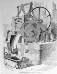 Königliche Tabakfabrik: Haschisch-Tabak