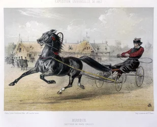 Russland: Orloff-Traber - in „The Centaur“ 1867