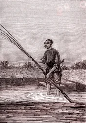 Rosten des nassen Bambus, Papierherstellung in China (3. Jahrhundert v. Chr.) (Gravur)