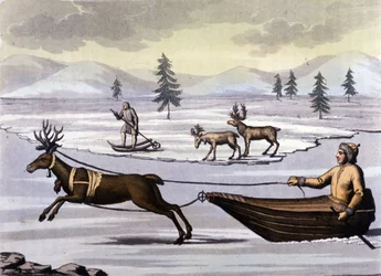 Sami: indigene Völker, die in den nördlichen Ländern (Norwegen, Finnland, Schweden und Russland) leben, bewegen sich mit Rentierschlitten oder Skiern. Gravur aus dem 19. Jahrhundert