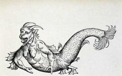 Seeteufel, angeblich Anfang des 15. Jahrhunderts in der Adria gefangen - nach Gesner