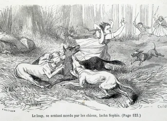 Sophie und der Wolf - in „Die Leiden der Sophie“ von der Gräfin von Ségur, Hachette