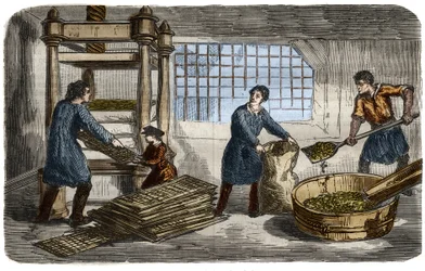 Zuckerherstellung: Saftgewinnung aus Rübenbrei. Der Brei wird in Säcke gestopft, die unter das Tablett einer hydraulischen Presse gestapelt werden. Gravur von 1859. im „Das Museum der Wissenschaften“