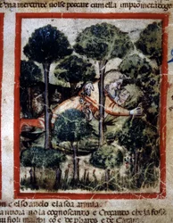 Thamar (Tamar) wird von Amnon (Ammon) besessen. Miniatur aus Codex 212 (oder Padovano Codice oder Bibel von Padua) 1390-1400 Rovigo, Accademia dei Concordi