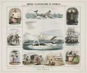 Der Wal, um 1845