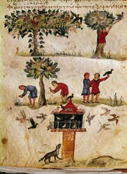 Die Zucht und Ausbildung von Falken. Miniatur aus der Jagd „Die Cynegetics“ von Oppian von Syrien (3. Jahrhundert n. Chr.), gewidmet Caracalla. 11. Jahrhundert Venedig, Biblioteca Marciana