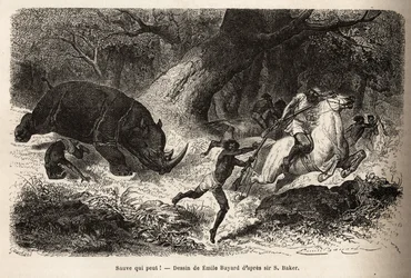 Der Angriff des Nashorns, das die Jäger umwirft und fängt, während der Suche nach dem Autor und seinen Führern. Gravur zur Illustration der Erforschung der abessinischen Nebenflüsse des Nils, von Sir Samuel W.Baker, 1861-62, veröffentlicht in "Le tour du m