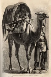 Die Gedenkprozession des Märtyrers Hossein, nach dem Vorbeiziehen der Märtyrer und Büßer, nehmen Frauen an der Prozession teil, halb versteckt auf Kamelen, geführt vom Familienoberhaupt. Gravur zur Illustration der Reise in die Provinzen des Kaukasus