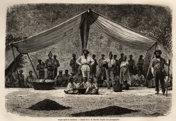 Das gemeinsame Mahl der Arbeiter nach der Sammlung der Kaffeebohnen, die im Vordergrund auf dem Boden trocknen; in der Mitte des Bildes, der Besitzer der Plantage, geschlossen und mit weißer Kopfbedeckung. Illustration der Reise nach Brasilien, Geschichte 
