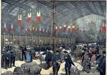 Der allgemeine Landwirtschaftswettbewerb von Paris - 14. März