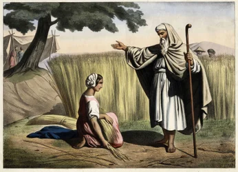 Das Treffen von Ruth und Boaz. Anonyme Gravur aus der Mitte des 19. Jahrhunderts.