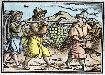 Die Rückkehr von Josua und Kaleb mit einer riesigen Traube aus dem Land Kanaan (Gelobtes Land). Chronik von Johann Stumpff „Den edlen strucen besten fromen“