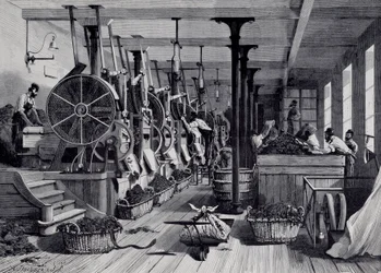 Tabakfabrik, Waschraum und Tabakverarbeitung. Gravur um 1867. Paris, Musée Carnavalet