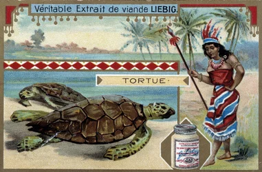 Schildkröte, mit einer Frau, die wie eine Einheimische Südamerikas gekleidet ist, ausgestattet mit einem Jagdspeer
