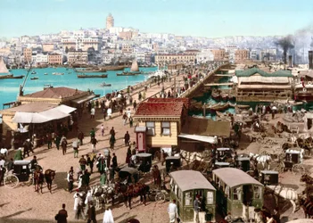 Ansicht von Konstantinopel. Photochrom ca. 1890