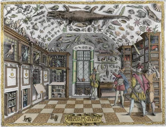 Ansicht des Kuriositätenmuseums (Kabinetts) (enzyklopädischen Museums) des Apothekers Ferrante Imperato (1550-1631). Kupferstich von 1678. Museum des neapolitanischen Apothekers Ferrante Imperato.