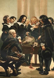 William Harvey (1578-1658), englischer Arzt, der 1628 den Blutkreislauf demonstrierte