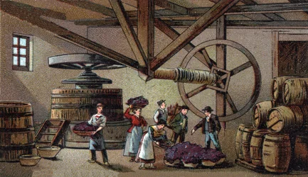 Weinproduktion: Weinpresse des Hospizes von Beaune (Clos Vougeot). Chromolithografie des späten 19. Jahrhunderts
