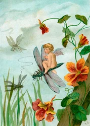 Geflügelte Fee reitet auf einer Libelle in der Nähe von Kapuzinerkresseblumen