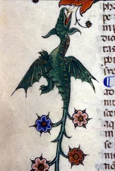 Geflügelter Drache, Caspic, in einem Manuskript aus dem 14. Jahrhundert. Mailand, Biblioteca Nazionale Braidense