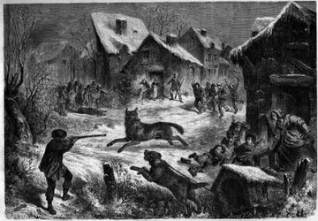 Wolfsjagd im Dorf Saliers, Bouches du Rhône (13), 31. Dezember 1860. Gravur in 