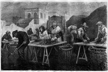 Arbeiter in Frankreich: Koks-Sortierer (Varietät von Kohle, die durch Destillation von Kohle entsteht und zum Heizen verwendet wird) in einer Gasfabrik in Paris. Gravur in „Le Monde Illustré“.