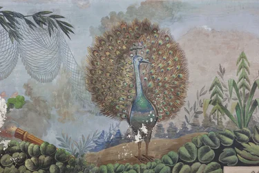 Ein Pfau, Detail von 3743687