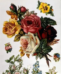 Ein Strauß Rosen. Chromolithographie aus dem 19. Jahrhundert