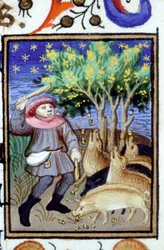Allegorische Darstellung des November. Ein Mann mit einer Gruppe von Schweinen, die Eicheln fressen. Miniatur eines Manuskripts aus dem 14. Jahrhundert